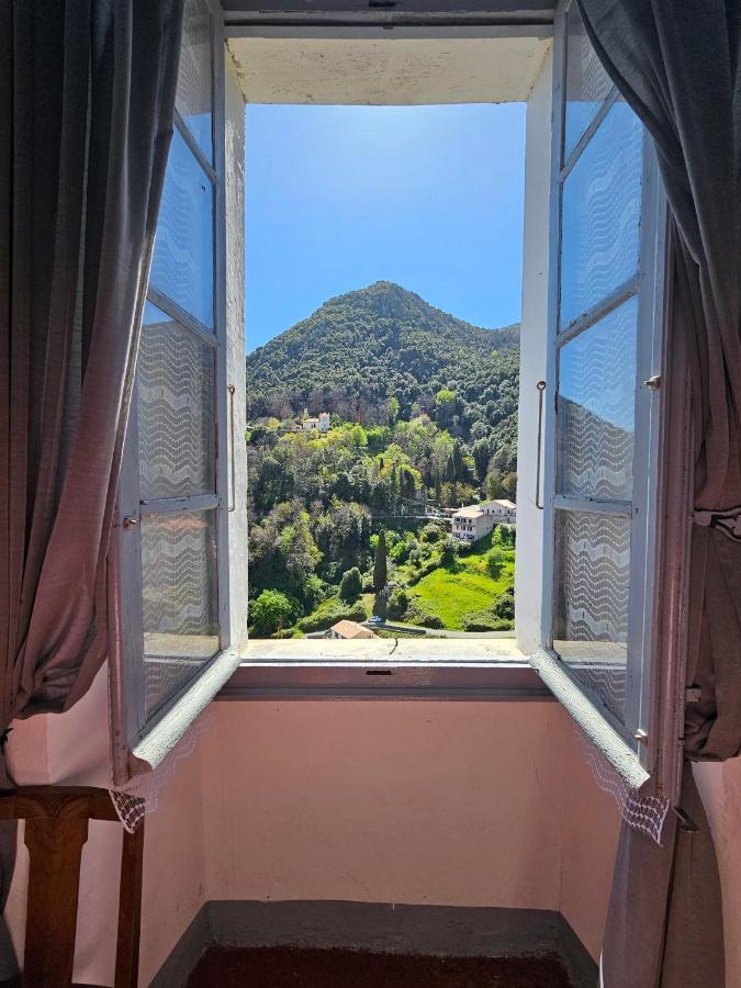 Palazzu Massoni, Magnifique Vue Sur La Mer Et La Montagne, Clim, Wifi, Parking Gratuit 세르비온 외부 사진